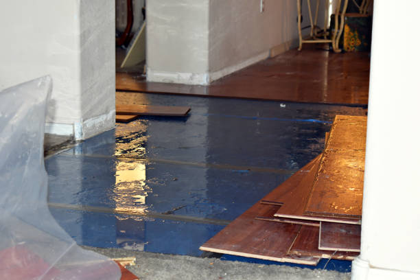 Professional Basement Flood Cleanup technician working in Miami, MO